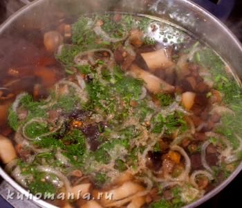 Суп с сушеными баклажанами и маринованными грибами готов